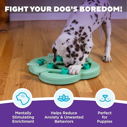 Outward Hound Nina Ottosson Puppy Hide N' Slide Dog Toy Treat Puzzle, 11.6" - color: Puppy Hide-N-Slide (Green), size: 1 Count (Pack of 1)