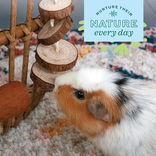 Oxbow Natural Dangly Party Pack, Rabbit & Guinea Pig Toys, Enrichment - style: Dangly Pack
