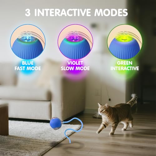 Rocfish Durable Interactive Cat Toys for Indoor Cats (blue01, 01) - color: blue01, size: 01