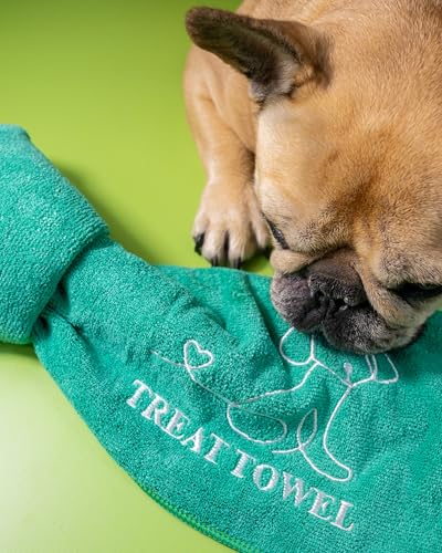 Treat Towel for Dogs – Snuffle Towel for Mental Stimulation & Enrichment, Interactive Lick Mat Alternative, Washable Microfiber, Boredom Buster Nose Work Toy for All Breeds – Green - color: GreenSTD