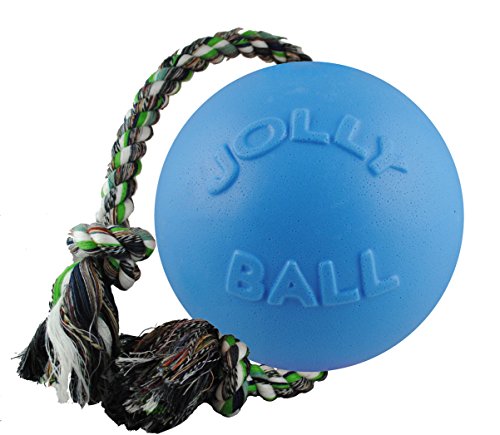 Jolly Pets Romp-N-Roll Rope & Ball Dog Toy, 8 in Large, Blueberry - color: Blueberry, size: Large (8 in)
