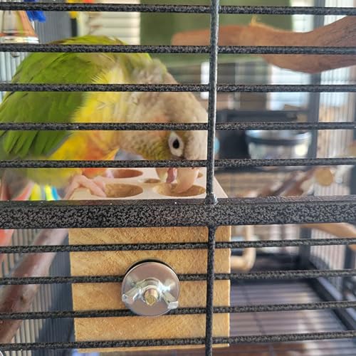 QBLEEV Bird Wooden Block Chew Toy, Parrot Tabletop Puzzle, Small Animal Shredding & Biting Wood Teething Toy for Hamster, Cockatiels, Conures & Budgie - color: Block Puzzle M