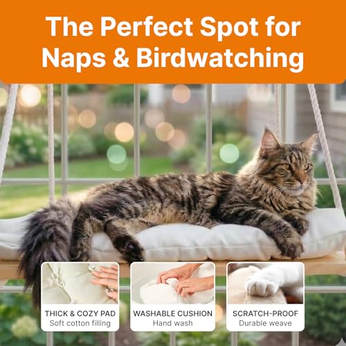 Large Cat Window Perch with Industrial-Grade Suction Cups – Solid Pine Wood Hammock Bed, Soft Cushion - 42 lb Capacity for Heavy Cats Inside - color: Beige, size: X-Large
