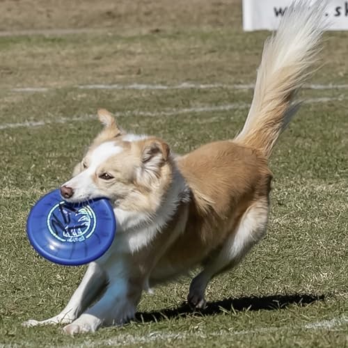 Hyperflite Pup Jawz Puncture Resistant Dog Flying Disc, Small Dogs - color: blue