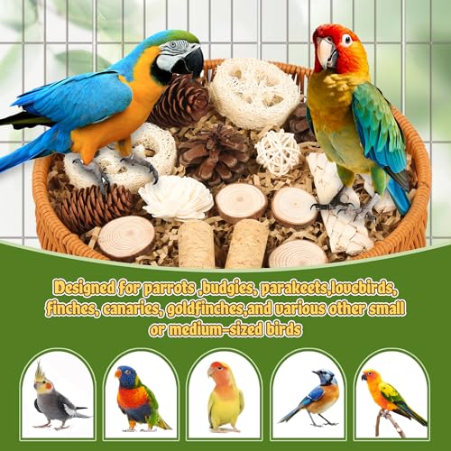 Bird Toys Natural Bird Foraging Toys Parrot Shredding Toys(Large)