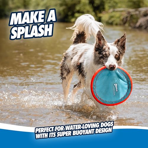 Chuckit! Max Glow Paraflight Flying Disc Dog Toy, Large, 1 Pack - color: Green/Max Glow, size: Large