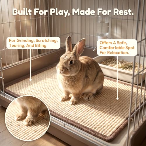 1 Pcs Natural Sisal Rabbit Scratching Pad, Bunny Mat & Chew Toy for Teeth Care & Nail Health, Cage Bedding for Indoor Rabbits, Guinea Pigs (16 x 12 Inches)