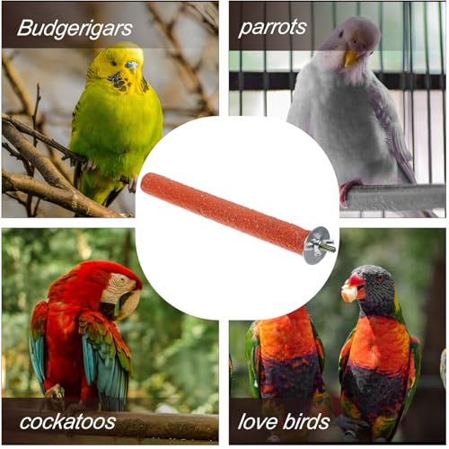 Mipcase Bird Climbing Stand Parrot Grind Stick Beak Grinder for Birds Standing Perch Toy for Cockatiels Parakeets Small Birds 7.87 X 0.78 X 0.78 in Random Color