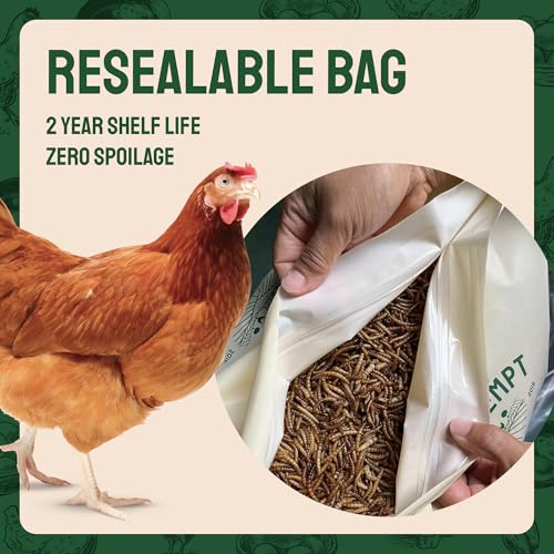 Hatortempt 20lb Dried Mealworms for Chickens & Wild Birds, Chicken Feed - size: 20 Pound (Pack of 1)