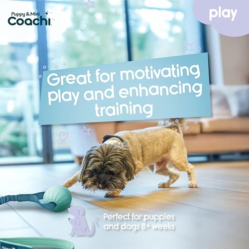 Coachi Puppy & Mini Tuggi Ball - Dog Toy for Tug of War & Play - style: Tuggi Ball