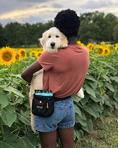 OllyDog Backcountry Day Bag, Fanny Pack, Dog Treat Pouch, Hands-Free for Training, Hip Pack with Built-in Poop Bag Dispenser, Removable Waist Belt Clip (Atlantic) - color: Atlantic