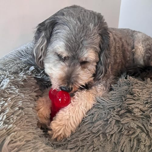 SPOT Play Strong Bone- Durable TPR Long Lasting Dog Chew for Aggressive Chewers, Hole for Treats, Virtually Indestructible Toy for Small and Medium Dogs & Puppies - 4.5 inch - size: Small