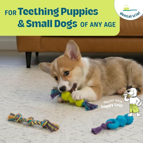 Mini Dentachew Dental Dog Chew Toys, 5-8", 3-Pack - color: Dentachew