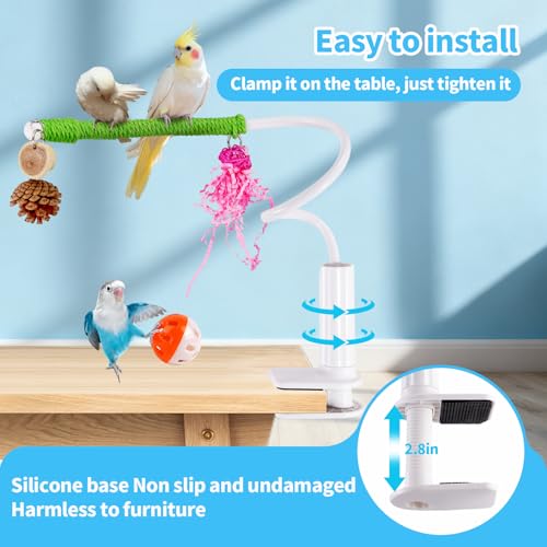 Bird Perch with Swing, Movable Desktop Stand with Clamp