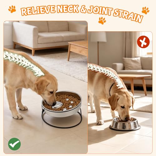 Elevated Dog Bowl Stand, Slow Feeder Dog Bowl, Dog Paw Pattern
