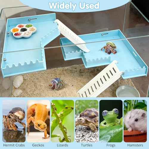 Hermit Crab Climbing Platform Habitat Tank Accessories - color: Blue