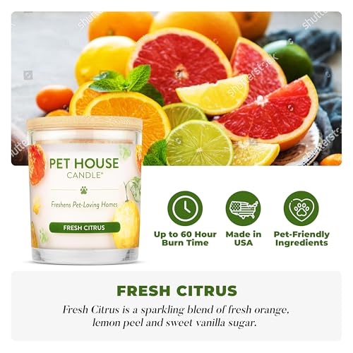 Fresh Citrus Scented Candle, Plant-Based Wax Candle, 2 Pack, Pet House - color: Fresh Citrus, size: Pack of 2