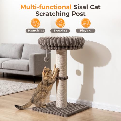 Avont Modern Cloud Cat Scratching Post with Perch for Indoor Adult Cats - color: Taupe