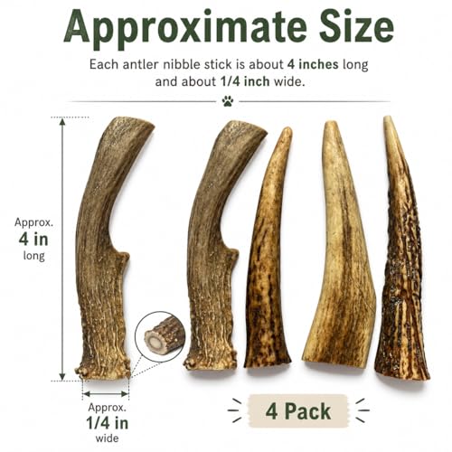 WhiteTail Naturals Small Animal Antler Chews, 4 Pack Gnaw Stick Toys