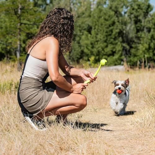 Chuckit! Air Fetch Ball Dog Toy, Medium (2.5 Inch Diameter), for Dogs 20-60 lbs, Ball - Medium,2 Count (Pack of 12) - size: Ball - Medium (Pack of 12)