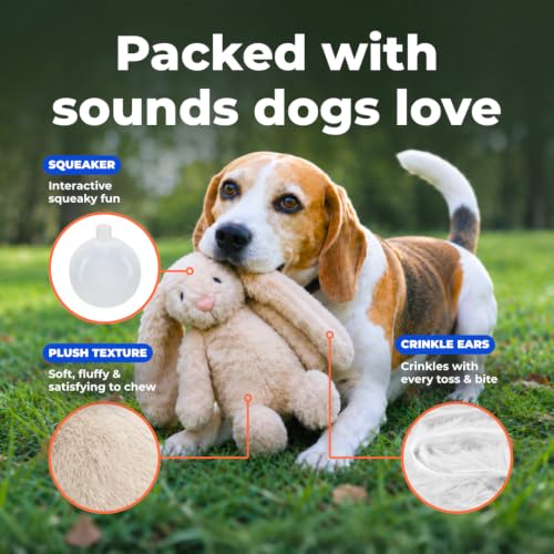 Best Pet Supplies Bunny Buddy Squeaky Plush Dog Toy - Beige, Small - color: Bunny (Beige), size: Small