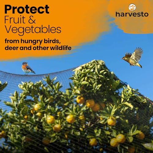 Harvesto Heavy Duty Bird Netting for Chicken Coops & Runs | Tree & Garden Netting Mesh 1-1/2" | Keep Hawks, Birds & Predators Away | Bird Netting for Blueberry Bushes, Vegetables & Fruit (25' x 50’) - size: 25' x 50' - 1.5"