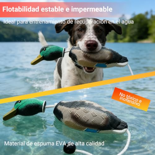 Duck Decoys, 2‑Pack Hunting Dog Bumper Set