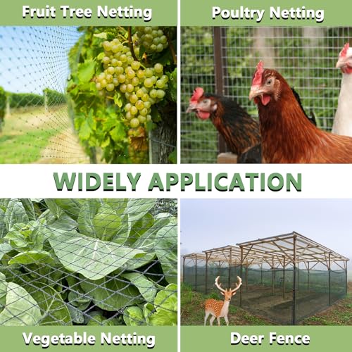 Bird Netting 50x50 FT, 1" Mesh Heavy Duty Garden Netting - size: 50' x 50'