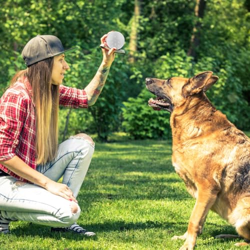 KESYOO Dog Scent Training Boxes 10 Pack Scent Training Containers for Dogs Nosework Tins with Lid Holes for Snuffle Practice Reward Search and Work