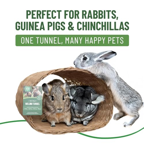 Small Pet Select Tiny Paws Willow Tunnel, Jumbo, 13.5x12x9.5 in