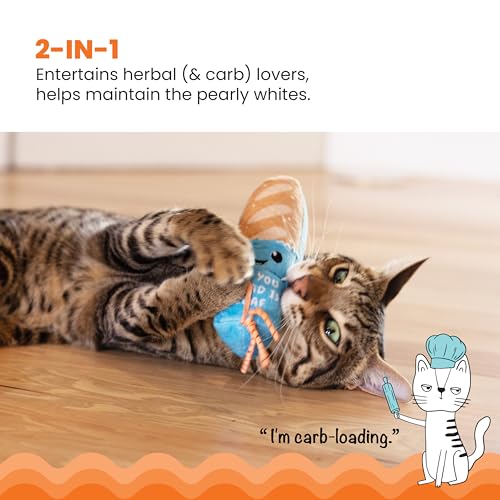 Catstages Loaf Kicker Interactive Cat Toy with Catnip & Dental Mesh, 6.5" - color: Loaf Kicker