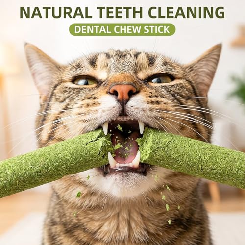 Cat Grass Sticks 6 Pack Silvervine Gall Fruit Chew for Indoor Cats - size: Medium