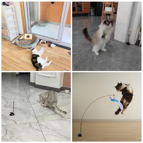 Cat Toys Interactive Hands-Free 8 Pack Cat Toys for Indoor, - color: black