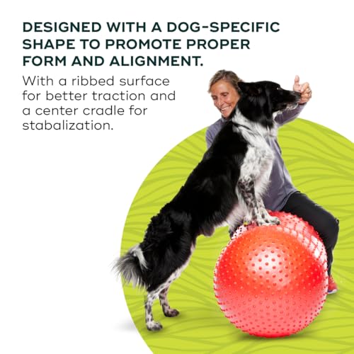 FitPaws® Trax Peanut, Dog Training Rehabilitation Exercise Equipment, 50 cm
