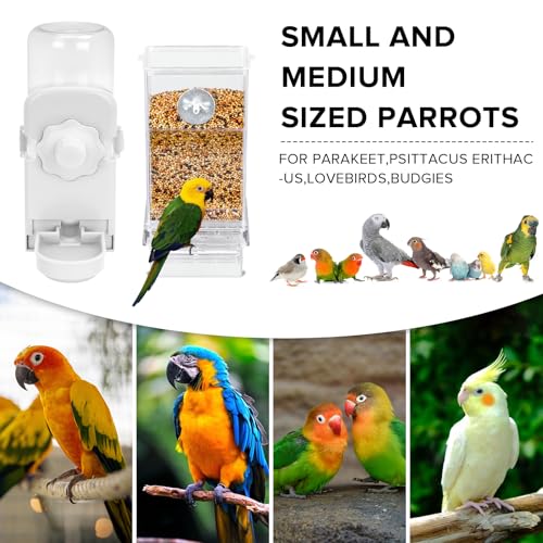 Lemtrflo No Mess Bird Feeder Water Dispenser Set, Automatic Bird Feeder - color: White