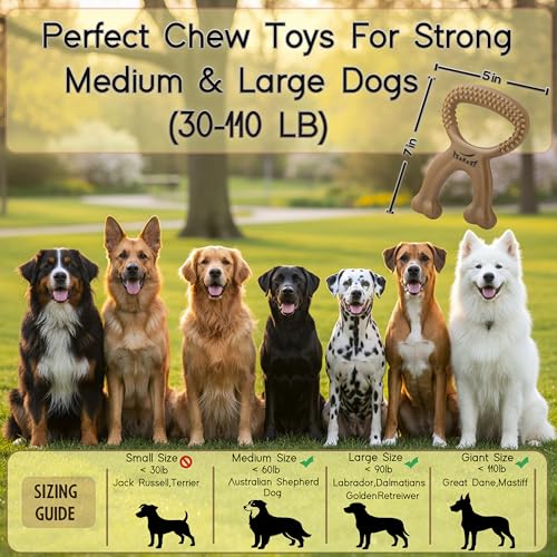 Chew Buddy Natural Rubber Dog Chew Toy for Medium & Large Dog