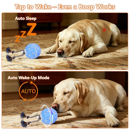 Interactive Dog Ball Toy with 2 Rope, Automatic Rolling & Bouncing Smart Dog Toy with Bird Chirping Sound and LED Light, Soft ETPU Chew-Safe Material, USB Rechargeable, for Medium & Large Dogs