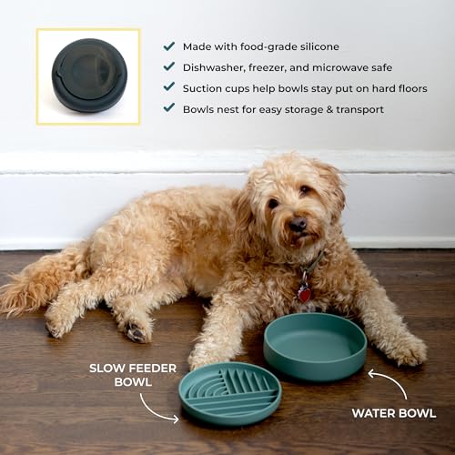 Slow-Feeder & Water Bowl Set by The Dog Tale | Food-Grade Silicone Dog Bowls, BPA-Free, Dishwasher Safe, Freezer Safe (Midnight) - color: Midnight