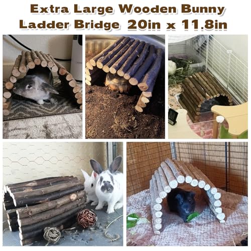 PINVNBY Guinea Pig Wooden Ladder Bridge (20 x 11.8 in) Rabbits Hideout, House, Tunnel, Rodents Chew Toys for Bunny, Chinchillas, Hedgehogs, Ferrets, Rat and Small Animals-Extra Large (Pack of 2) - size: 1 PCS, L ( 20 X 11.8 inches ) (Pack of 2)