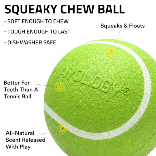 Playology Squeaky Chew Ball Dog Toy - Jumbo, Sweet Potato Scent - size: Jumbo, style: Sweet Potato