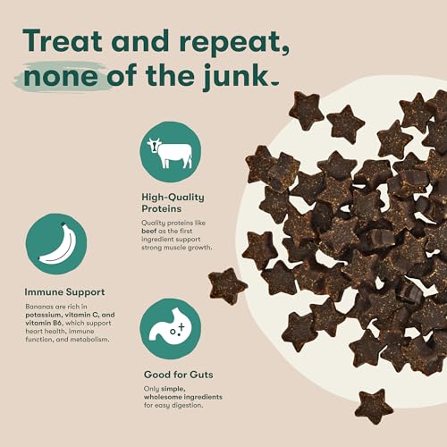 Jinx Dog Training Treats, Bite-Sized Training Treats for Dogs, Beef, 16oz - size: 1 Pound (Pack of 1)