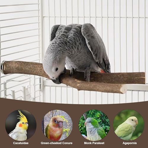 8 PCS Bird Perch Set