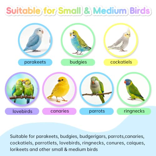 2PCS Bird Toy for Parakeets,Parrot Interactive Rotating Toy