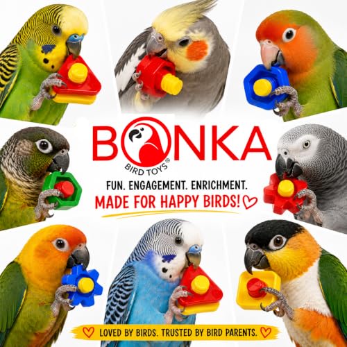 Bonka Bird Toys 3505 Pk6 Huge Nuts and Bolts Colorful Enticing Large Screw Interactive Foot Beak Throw Parrot Cockatoo Amazon African Grey Macaw Hyacinth