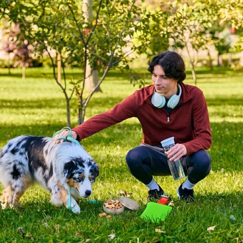 19 Pcs Dog Scent Work Tins Training Kit 6 Nose Magnetic Dots Scents Works Containers 6 Magnet 4 Smell Training Scent Pack1 Pair Tweezers 1 Drawstring Bag for Dog Trainings Loss of Smell