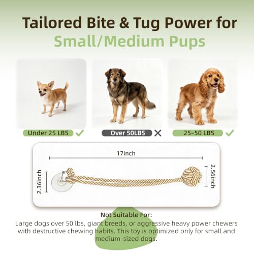 Interactive Tug Cotton Toys with Resin Suction Cup for Puppy Dogs, 2PCS