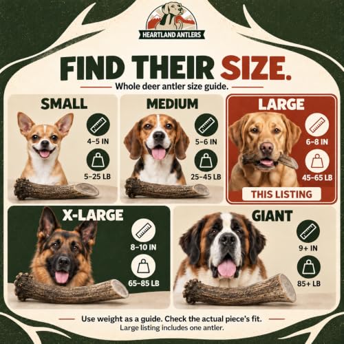Heartland Antlers Whole Deer Antler Dog Chew for Aggressive Chewers - style: Large (Dogs 45-65 lbs)