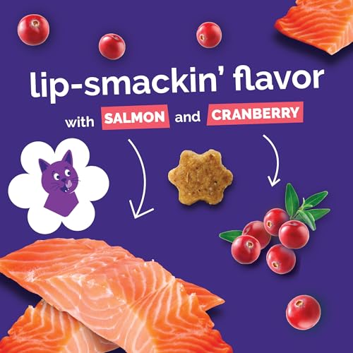 Fruitables Crunchy Cat Treats, Healthy Cat Treat, Salmon & Cranberry, 2.5oz - size: 2.5 Ounce (Pack of 1), style: Salmon & Cranberry