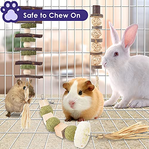 Bissap 3PCS Bunny Chew Toys, Natural Hanging Molar Treats for Small Pets - size: 3 PCS