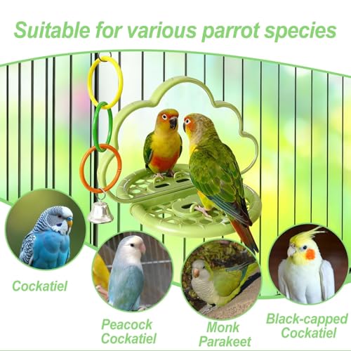Bird Mirror with Perch Stand & Slow Feeder,Parrot Toys Swing(Green) - color: Green Cloud
